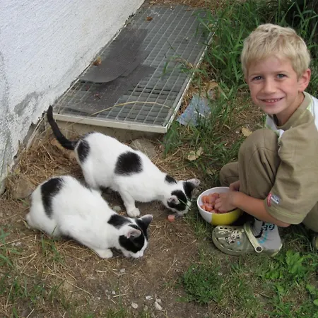 Gaestehaus Jaeger Мариапфар